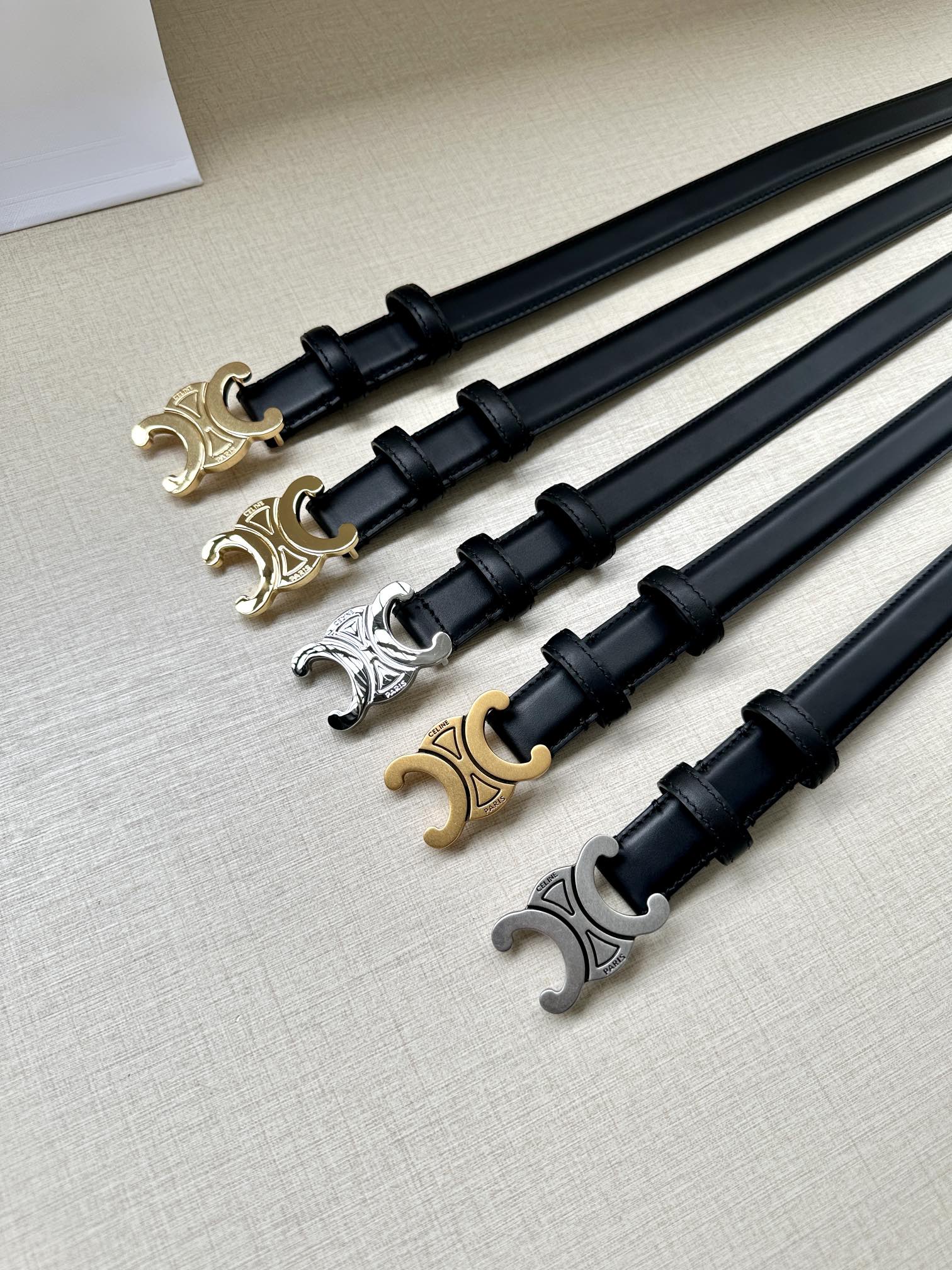 CELINE Medium Triomphe Belt 25mm Black Calfskin Gold Finishing