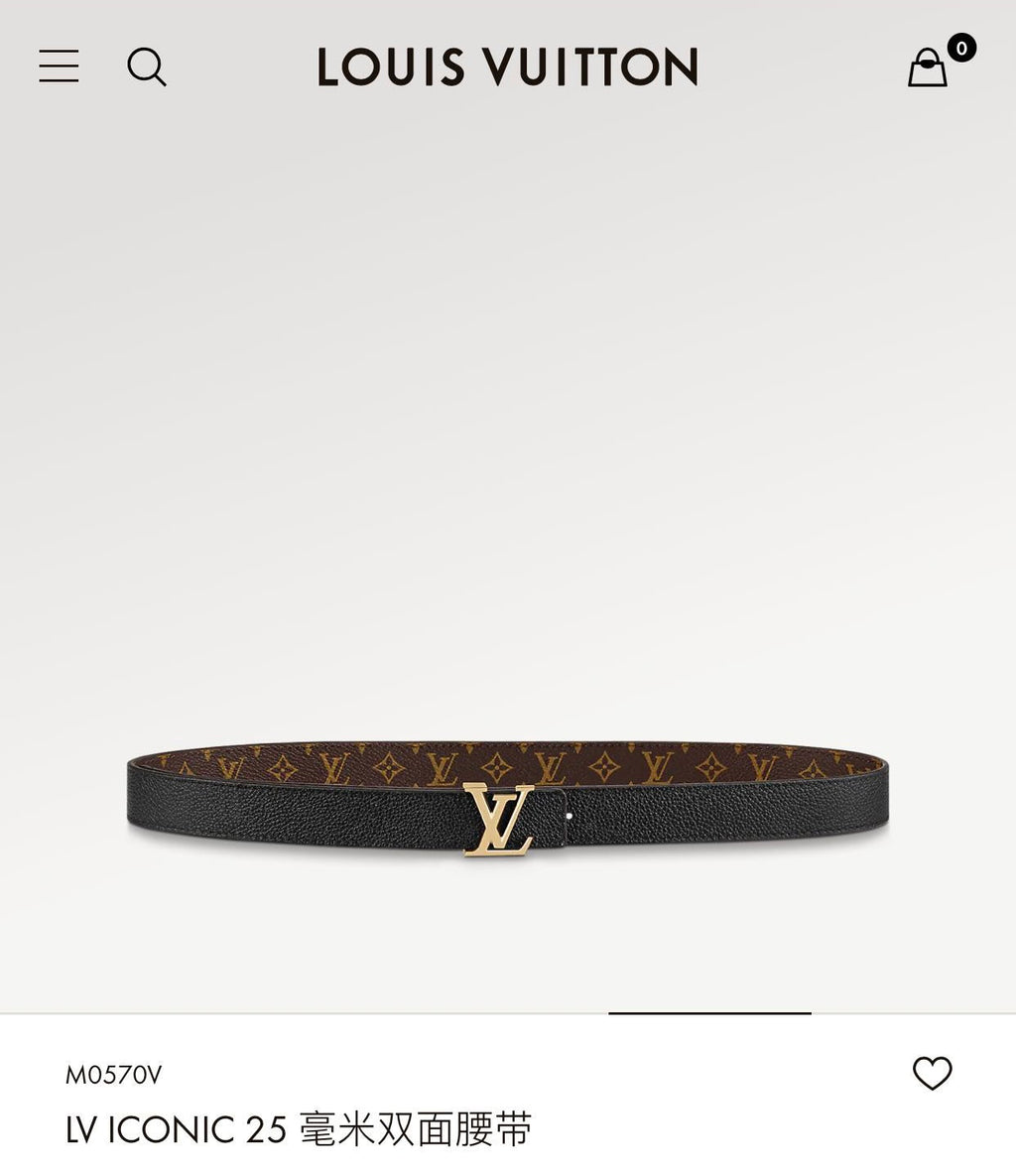 LOUIS VUITTON LV ICONIC 25 MM IN BROWN DAMIER CALFSKIN SILVER HARDWARE