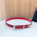 CELINE Medium Western Belt 25mm Red Black Snake Embossed Calfskin Silver Loop Shw